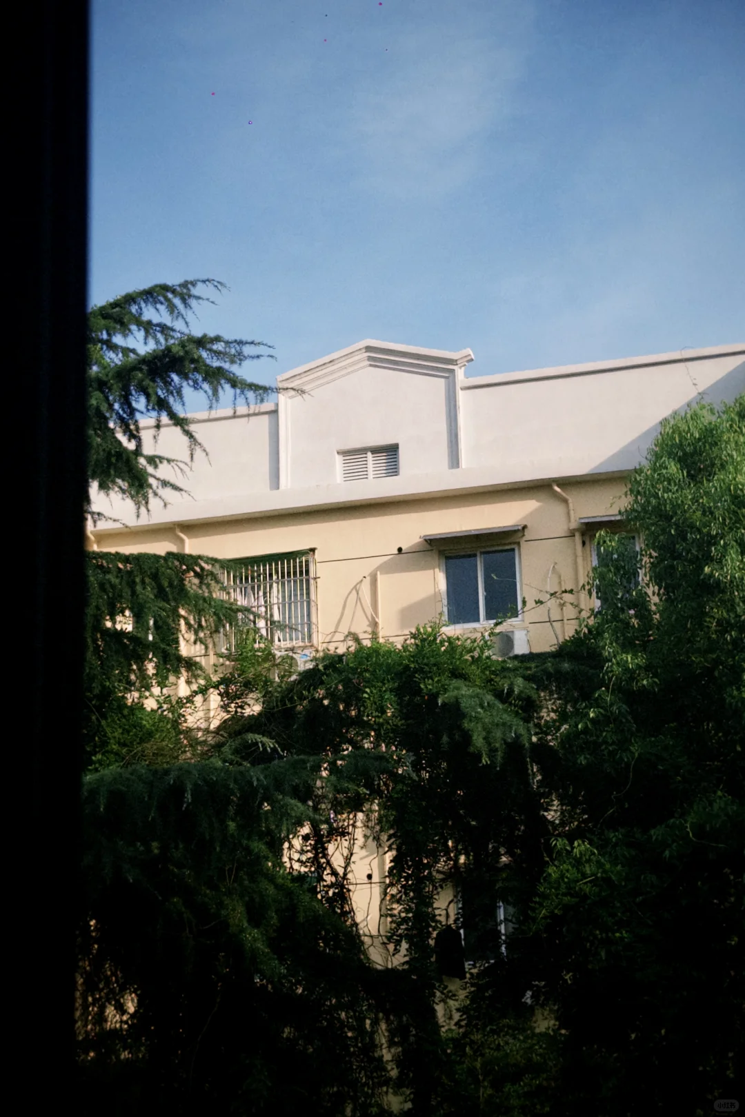 我是不是很会选家，我的窗外就好像小时候画的画照进生活🏡