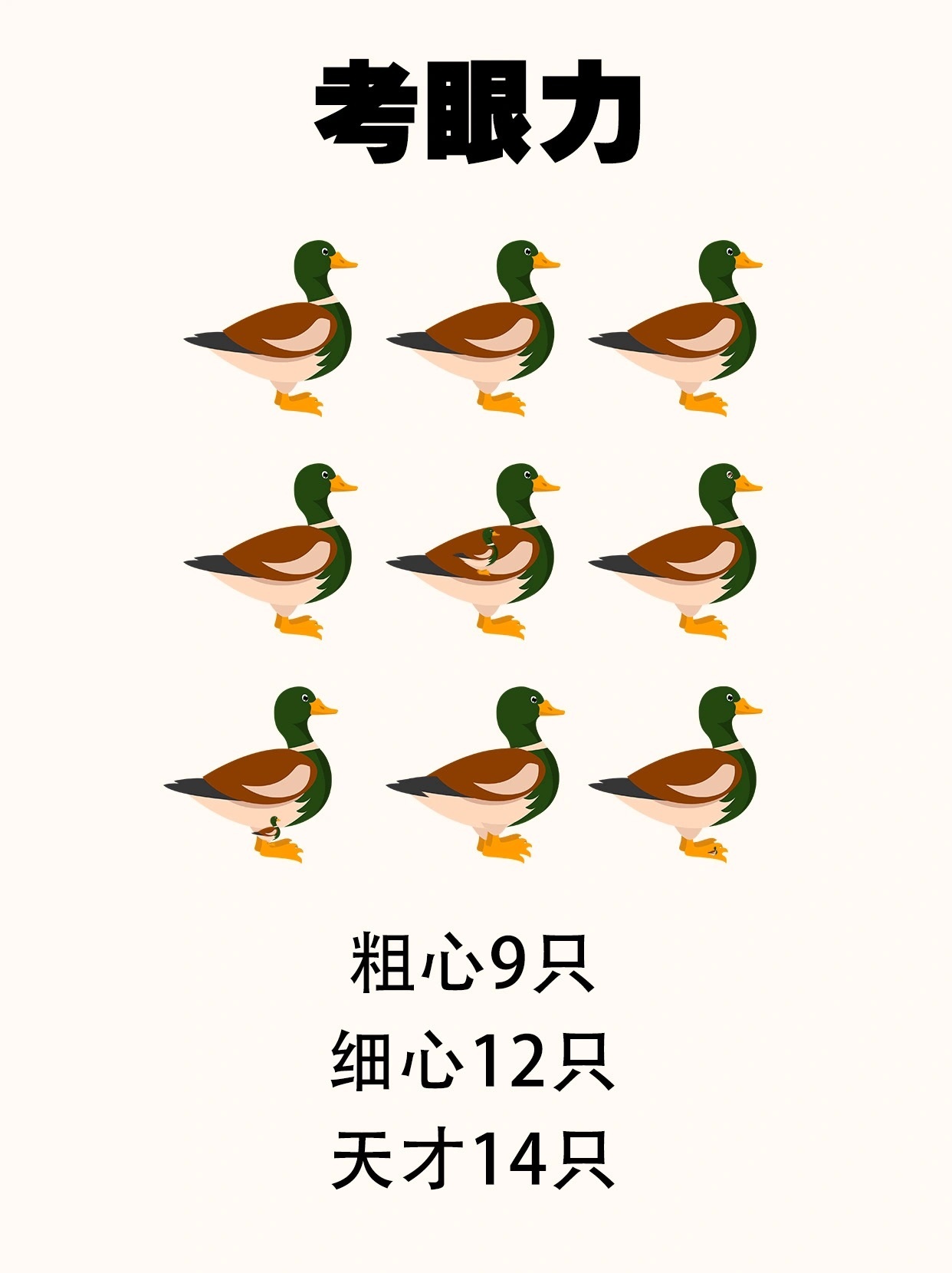 考眼力时刻，图中有几只野鸭？能找出来吗？ ​​​