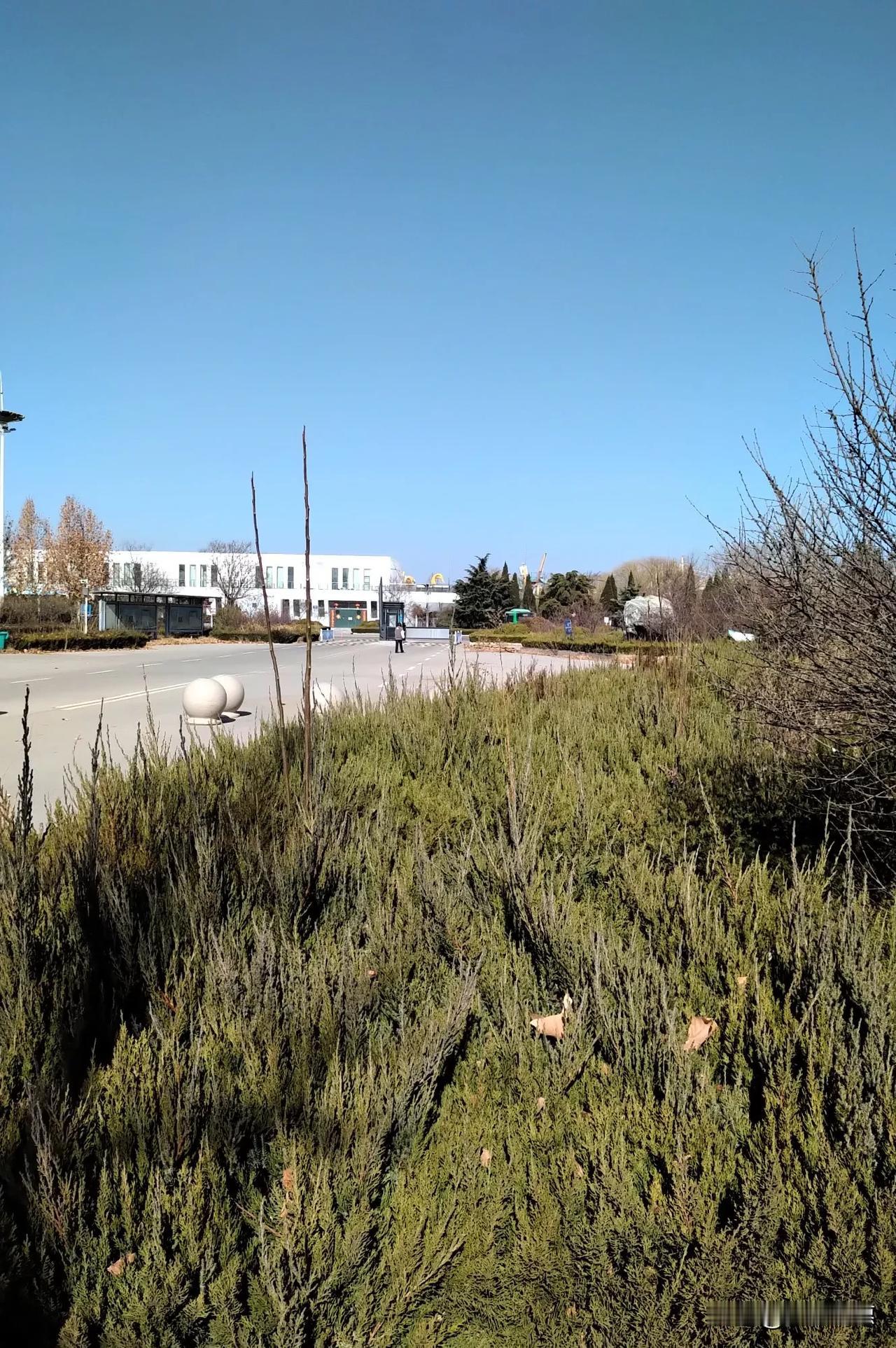 泰安花样年华多么朗朗上口的名字 ,在不断经营下,滑雪 卡丁车现代  农业 ...