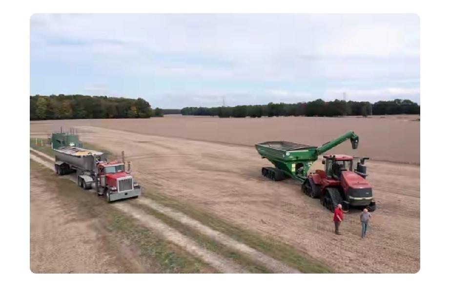 都这时候了，特朗普还在那吹嘘中国又下单大豆，真让人无语。他为了打造“贸易赢家”人