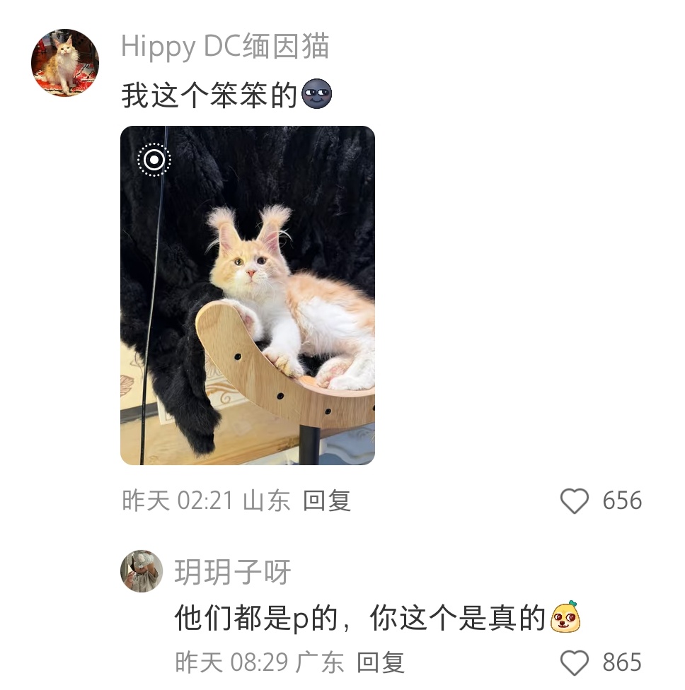 都是爱的“托举”