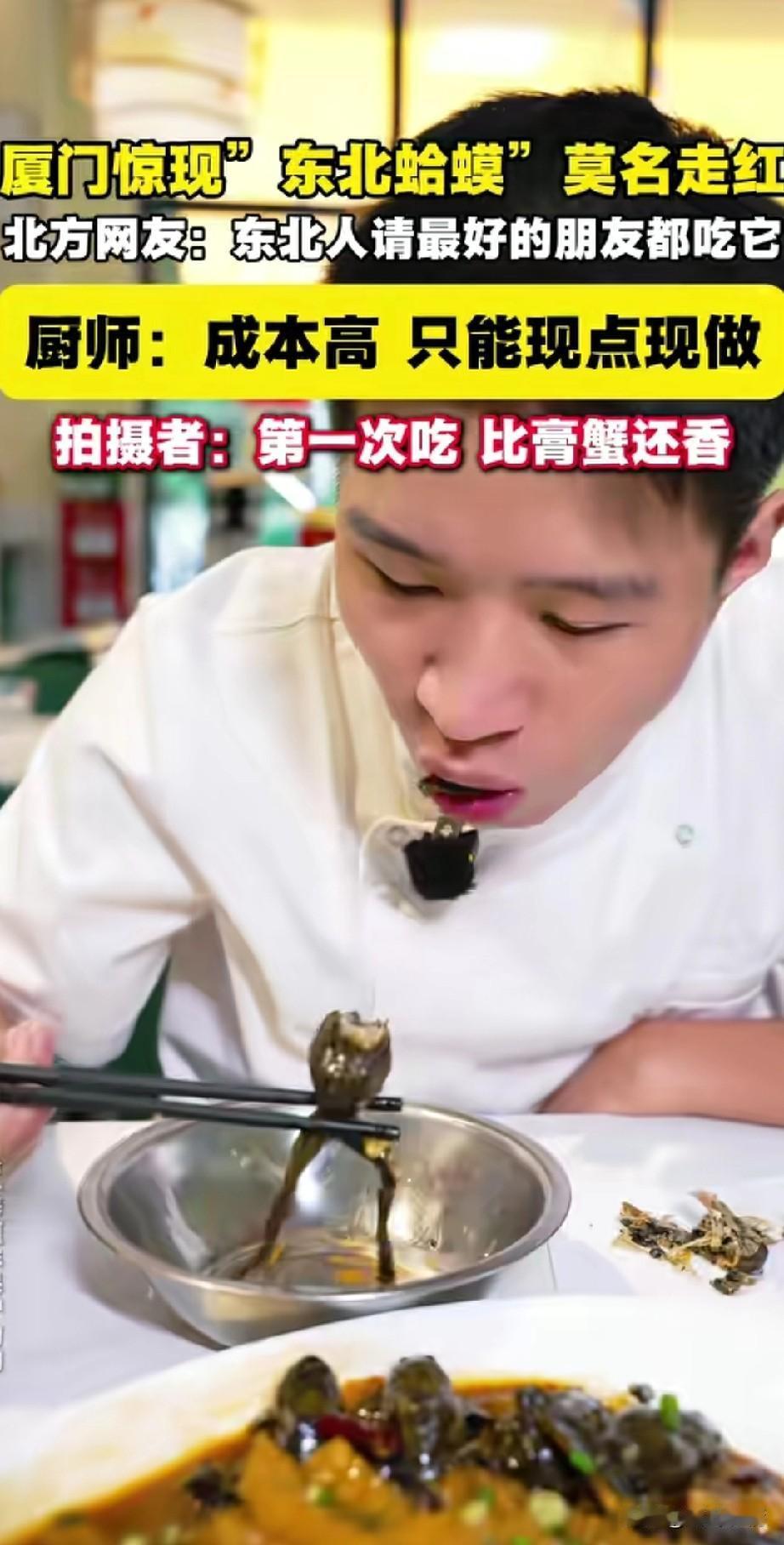 厦门惊现“东北蛤蟆”莫名走红，
很多人听都没听过，
东北网友表示 请最好的朋友才