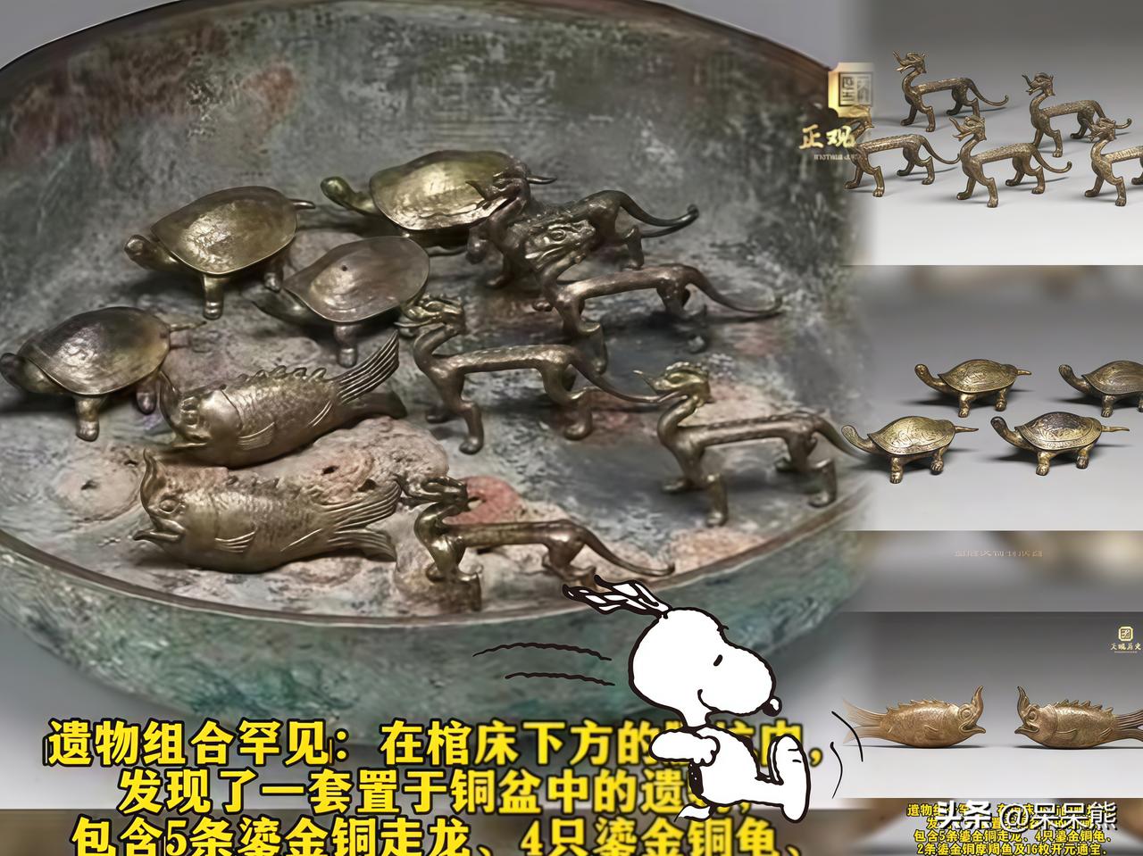 西安的考古最新成果来了，
这回真把人看傻眼了！
专家：这个组合，唐代墓葬中唯一一