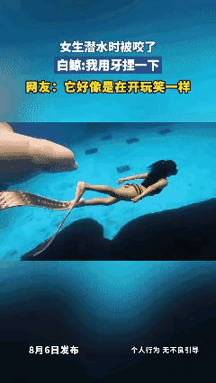 有惊无险，幸好白鲸只是在腿上轻轻含了一下，要不然后果将不堪设想……