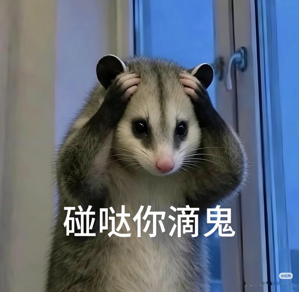 被移除两个互关，一个🍰唯一个🥥，倒是挺平衡