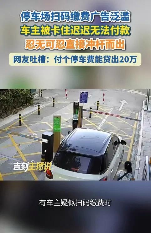 这也正是国家这次要重点整治的原因，8月15日，浙江一名车主在停车场出口扫码缴费，