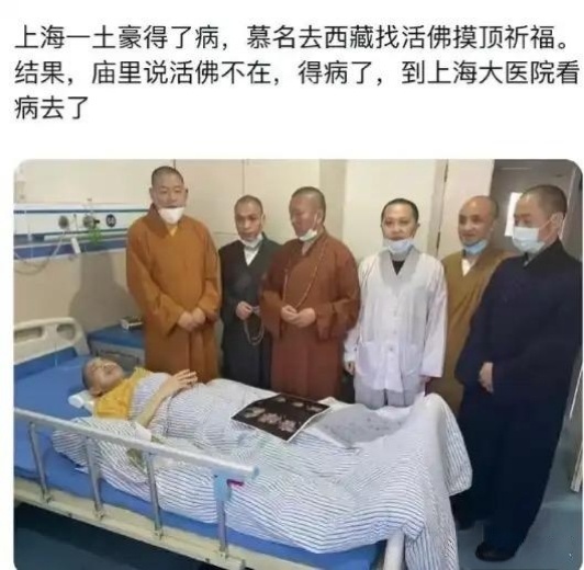 实在没忍住 
