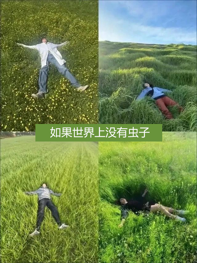 我恐虫症（Entomophobia ）超严重，蝴蝶都害怕，可能上辈子是被毒虫毒死