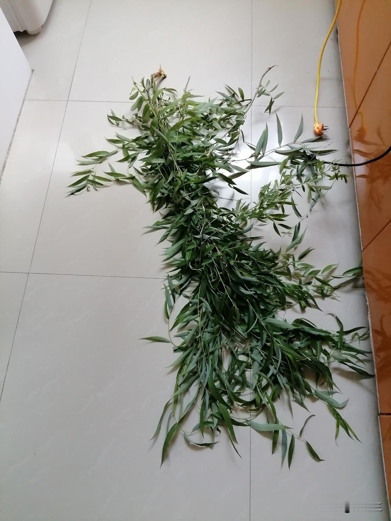 昨日没有写头条。

今天，外面下雨了。心情好了一些，写点什么吧。

让文字留下点