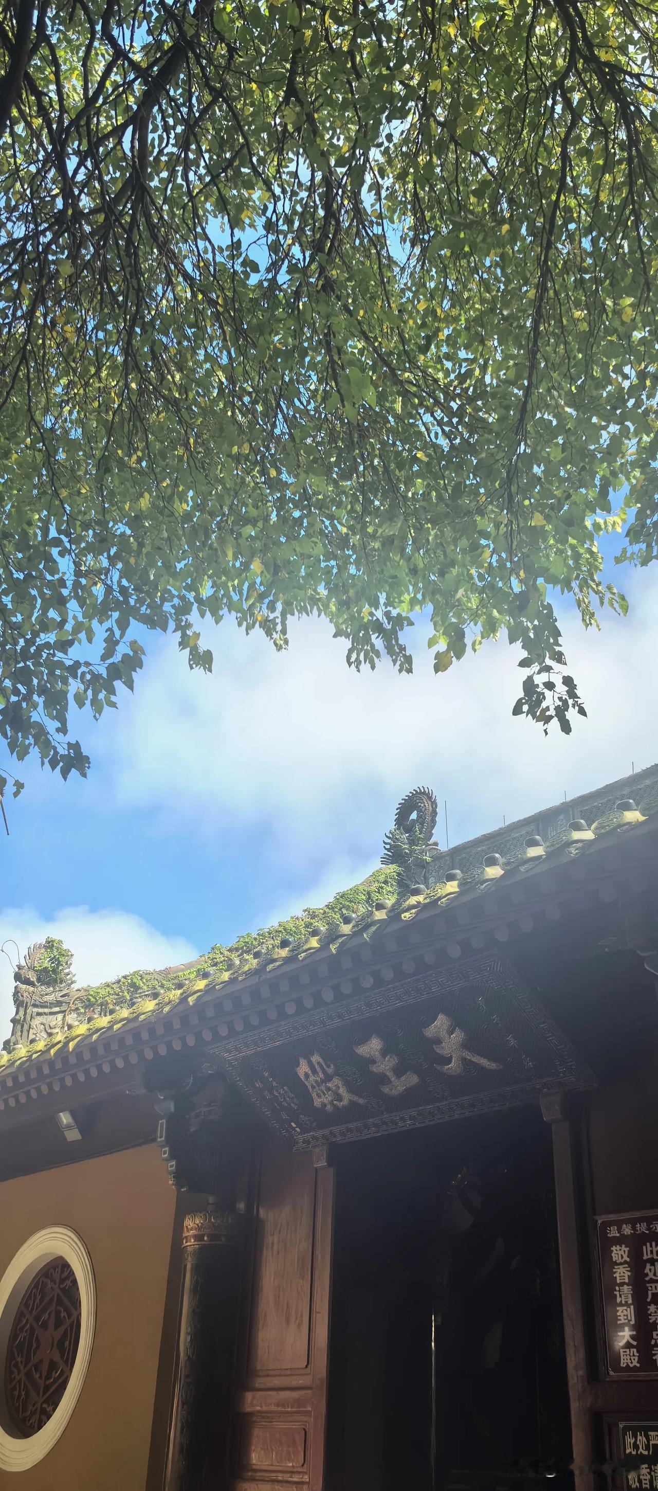 双手合十，高香举头顶拜佛祖。人民币却被践踏在脚下。我的心好疼，但我不知道怎么做，
