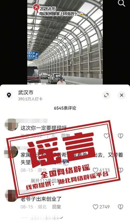 一段老人坐着电动轮椅在武汉鹦鹉洲长江大桥高架逆行的视频在网上热传，不少网友仅凭画