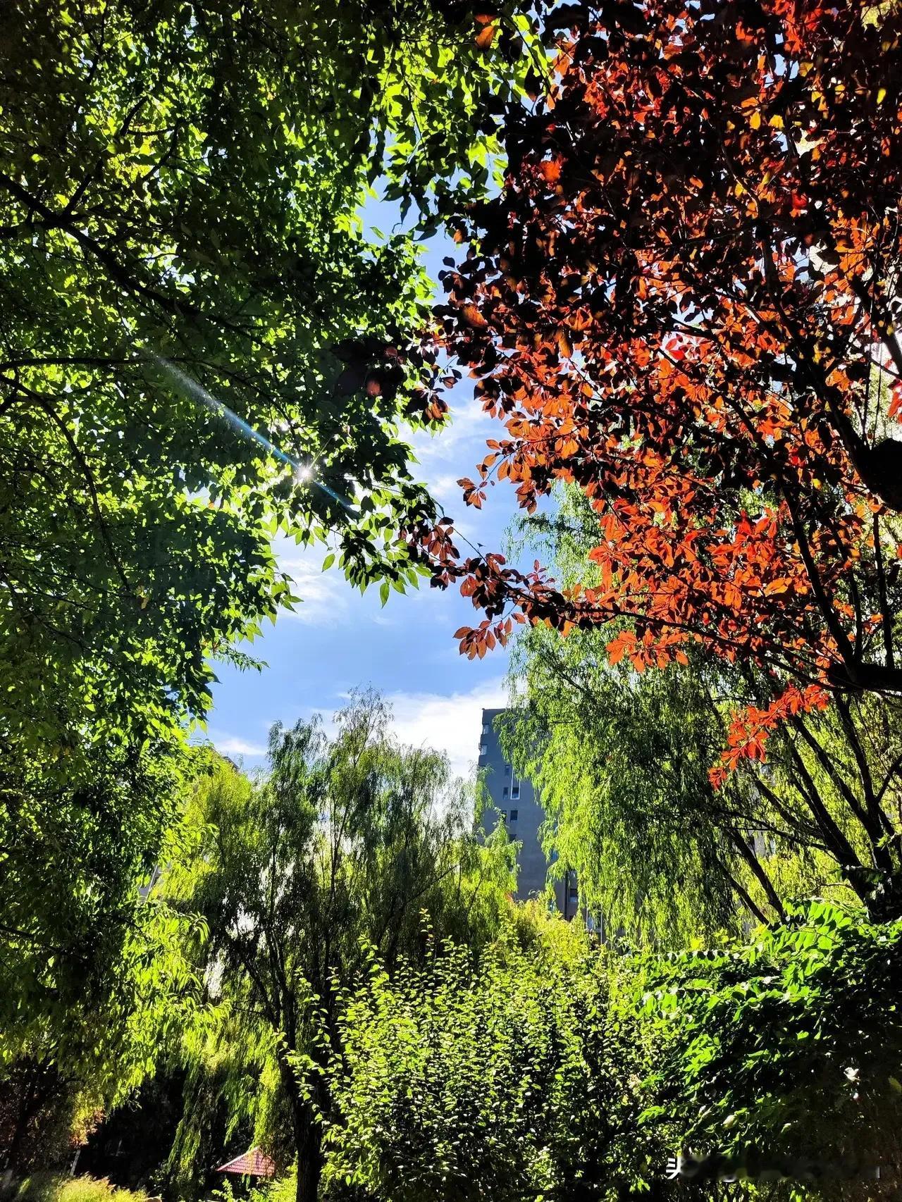 也真是纳闷了！六十，七十年代，物质生活匮乏，家家能维持温饱，就心满意足。那时候，