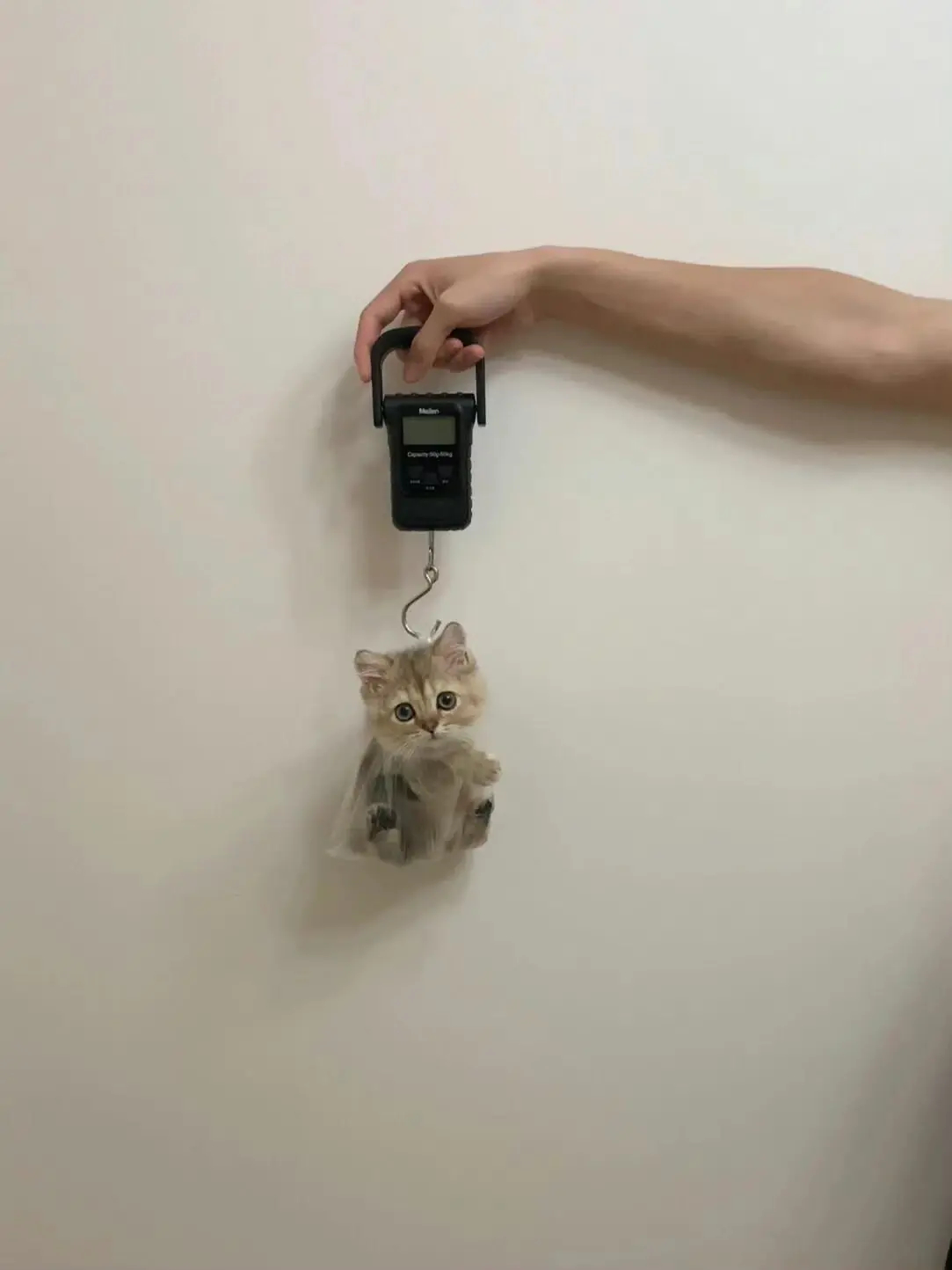 “小鼻嘎怎么一点都没长啊”