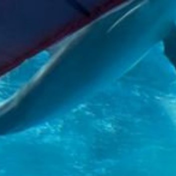 《行香子·过七里濑》苏轼（宋）一叶舟轻，双桨鸿惊。水天清、影湛波平。鱼翻藻鉴，鹭