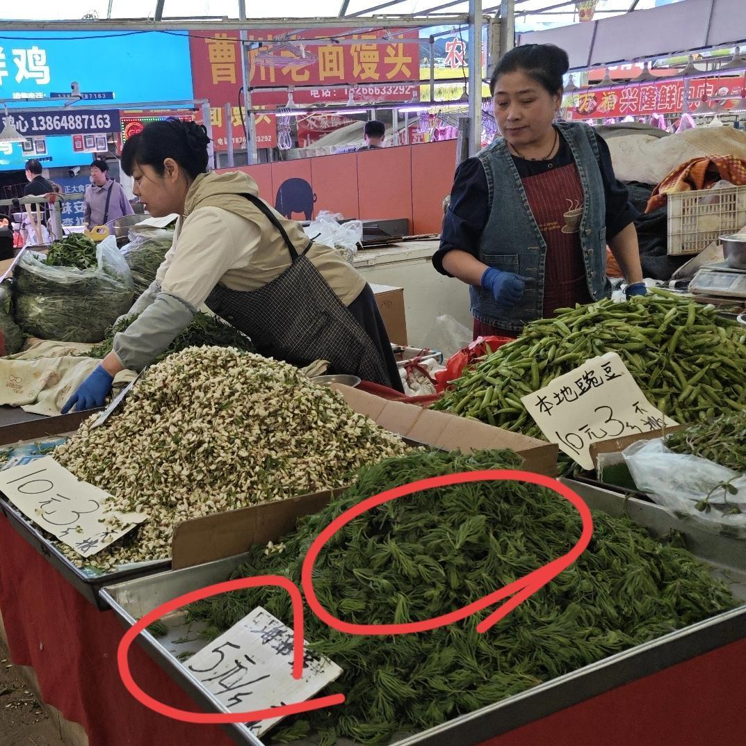 除了有山菜、蒲公英、槐花以外，还有好多卖海蓬菜的。
海蓬菜是我非常喜欢的一种野菜