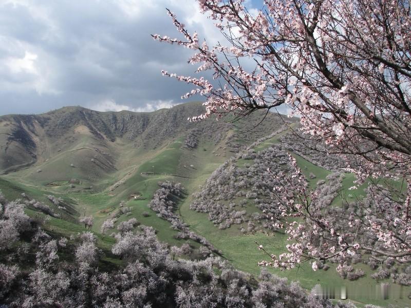 马踏春风软，行行入翠微。
溪头荠菜绿，陌上杏花飞。
野老扶犁过，儿童逐蝶归。
一
