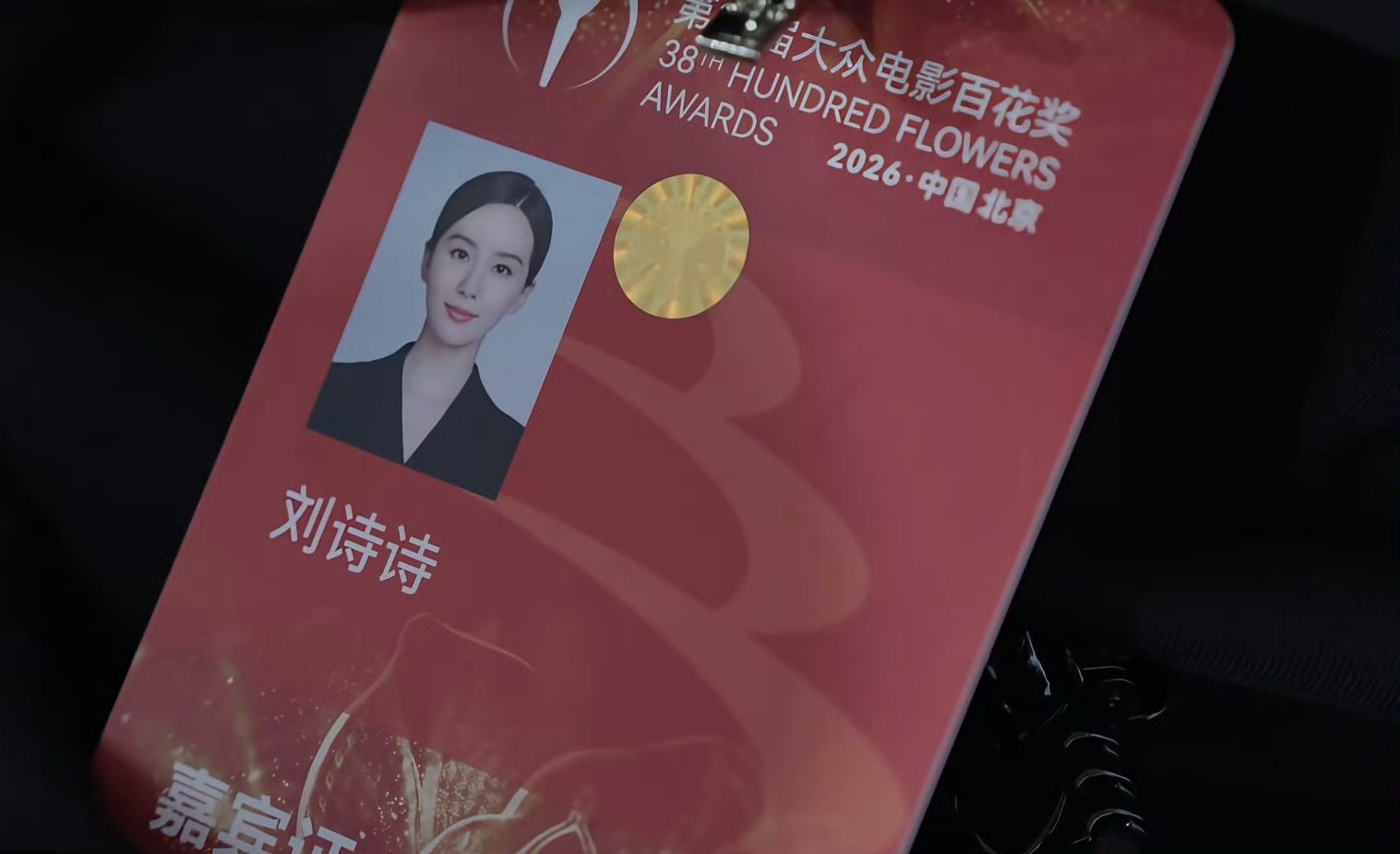 怎么有人证件都美得如此突出！标准的三庭五眼！我要长这样，我天天把证件照挂身上刘诗
