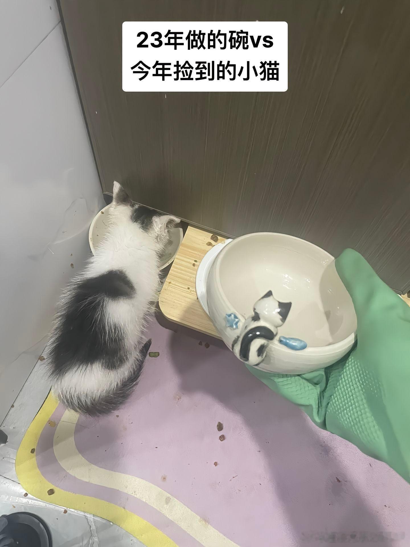 冥冥之中自有天意[不愧是你][不愧是你][不愧是你]这是怎样的缘分！绝配啊！ ​