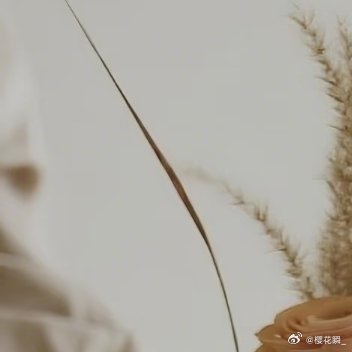 0000百善孝为先。羊有跪乳之恩，牛有舔犊之情，大地乃万物之源，父母是生命之本。