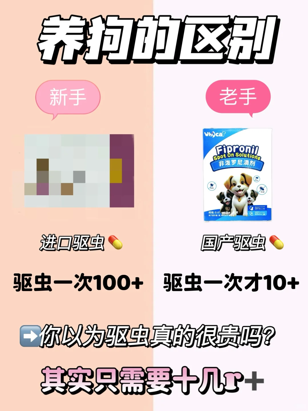 快让开❗️汪星驱虫界的王者驾到❗️