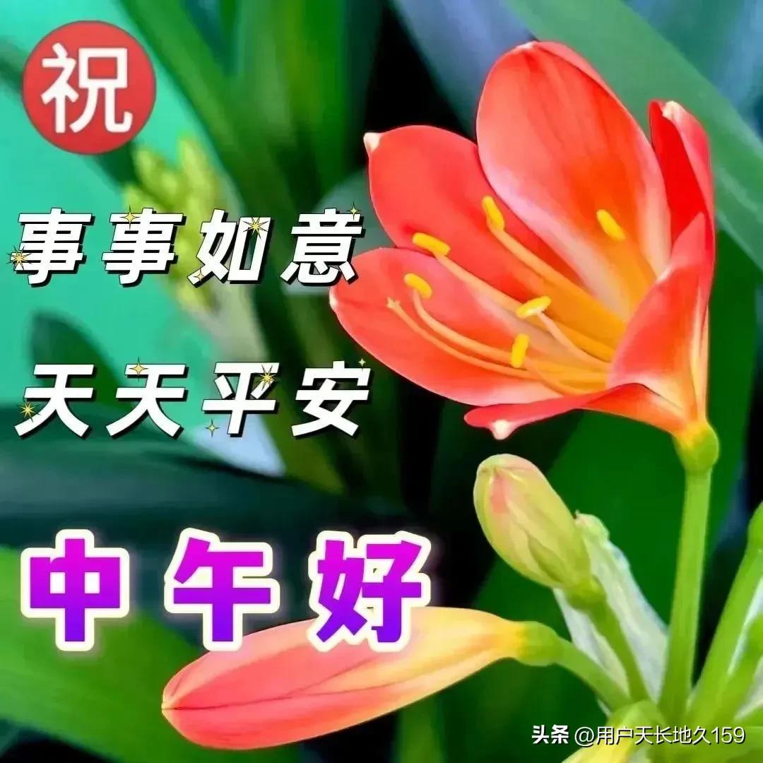 中午好友！新周愉快！
佳作欣赏！满满祝福！
幸福安康！万事如意！
[赞][赞][