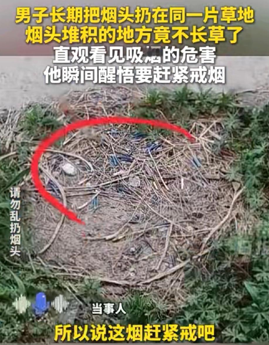 【“草地被他扔‘秃’了，男子看后默默戒了烟”】

江苏一男子有个习惯，烟头总往同