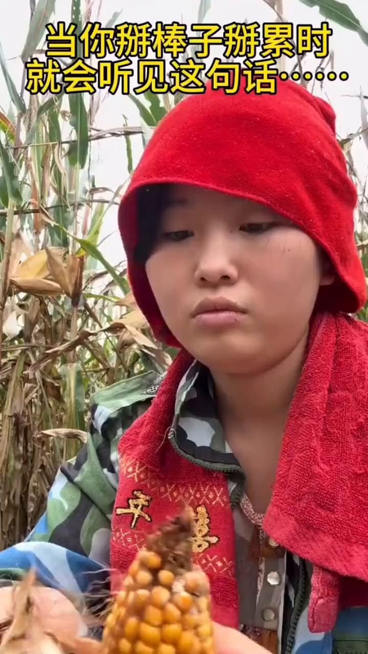 当你掰棒子掰累时就会听见这句话。
总以为自己干多一点爸妈就会干少一点，那知道自己