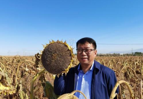 我国工程界大乌龙事件！2009年，重庆交通大学教授易志坚在研究物质力学时，意外发