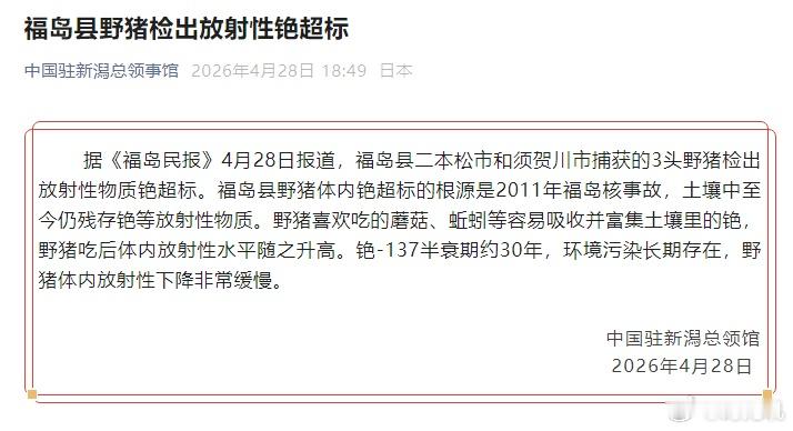 日本福岛野猪放射性物质超标 4月28日，日媒曝光福岛再曝核污染隐患，当地两市捕获