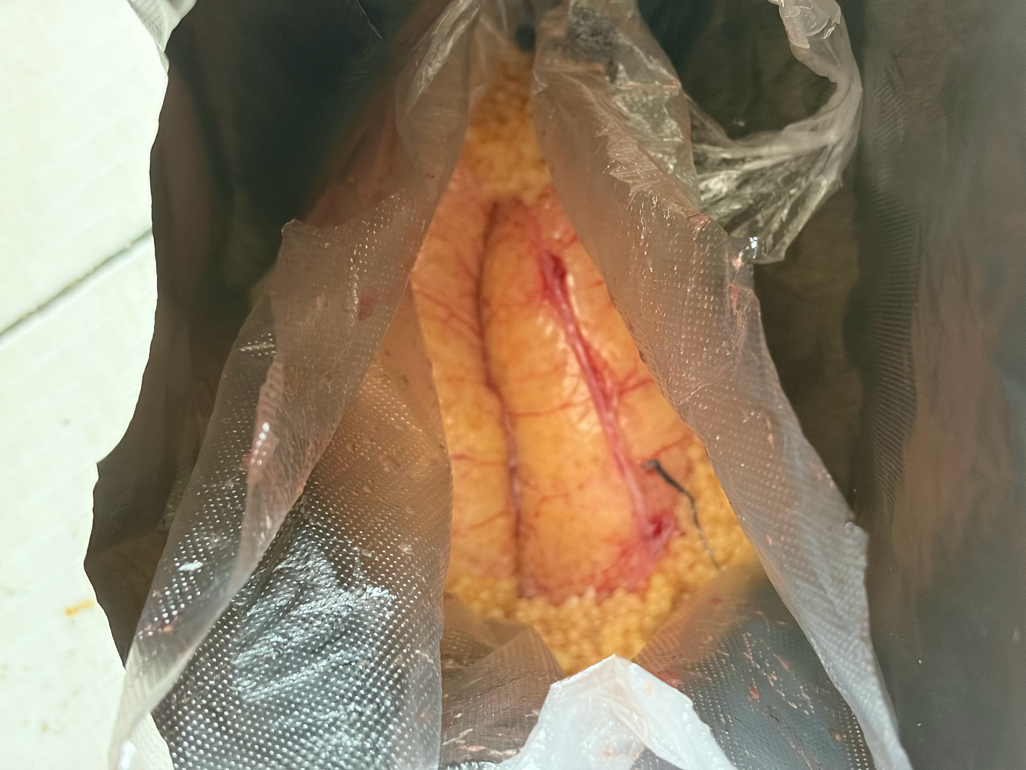 这条鱼鱼籽真多啊 