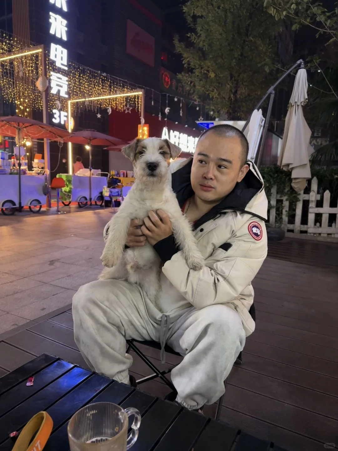 这条希望评论区都是梗犬