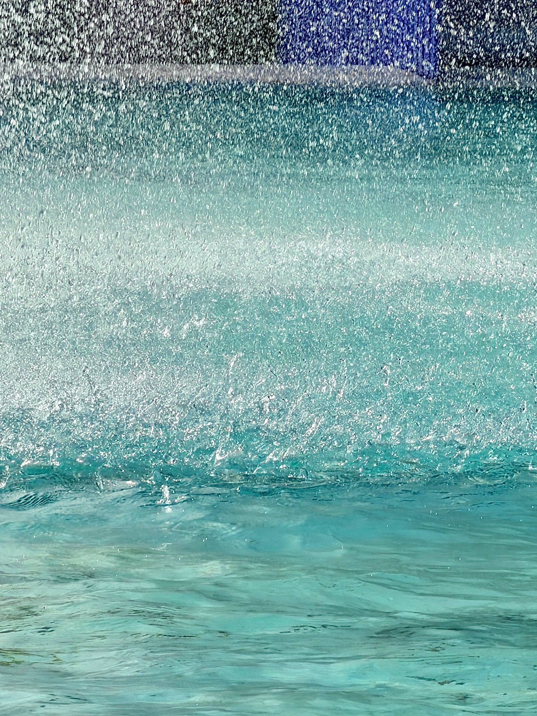 昨天 今天 下雨天 眼下是春天！！！ 香港·九龙公园