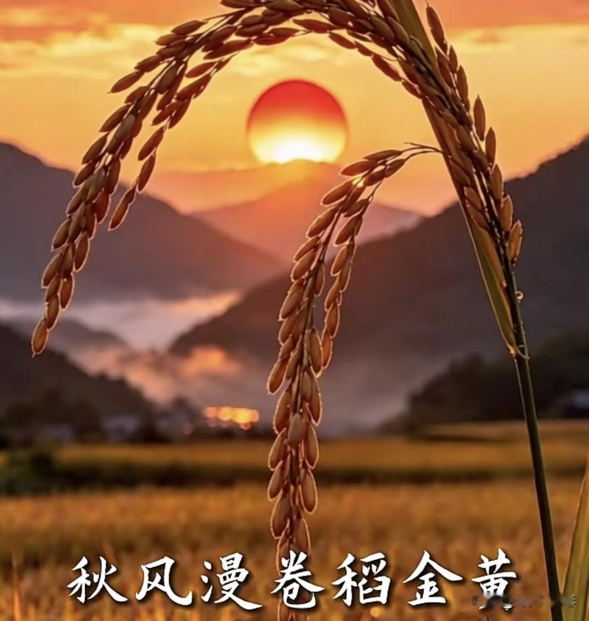 上联是：天宽装日月
   下联是；海阔映红霞
                 