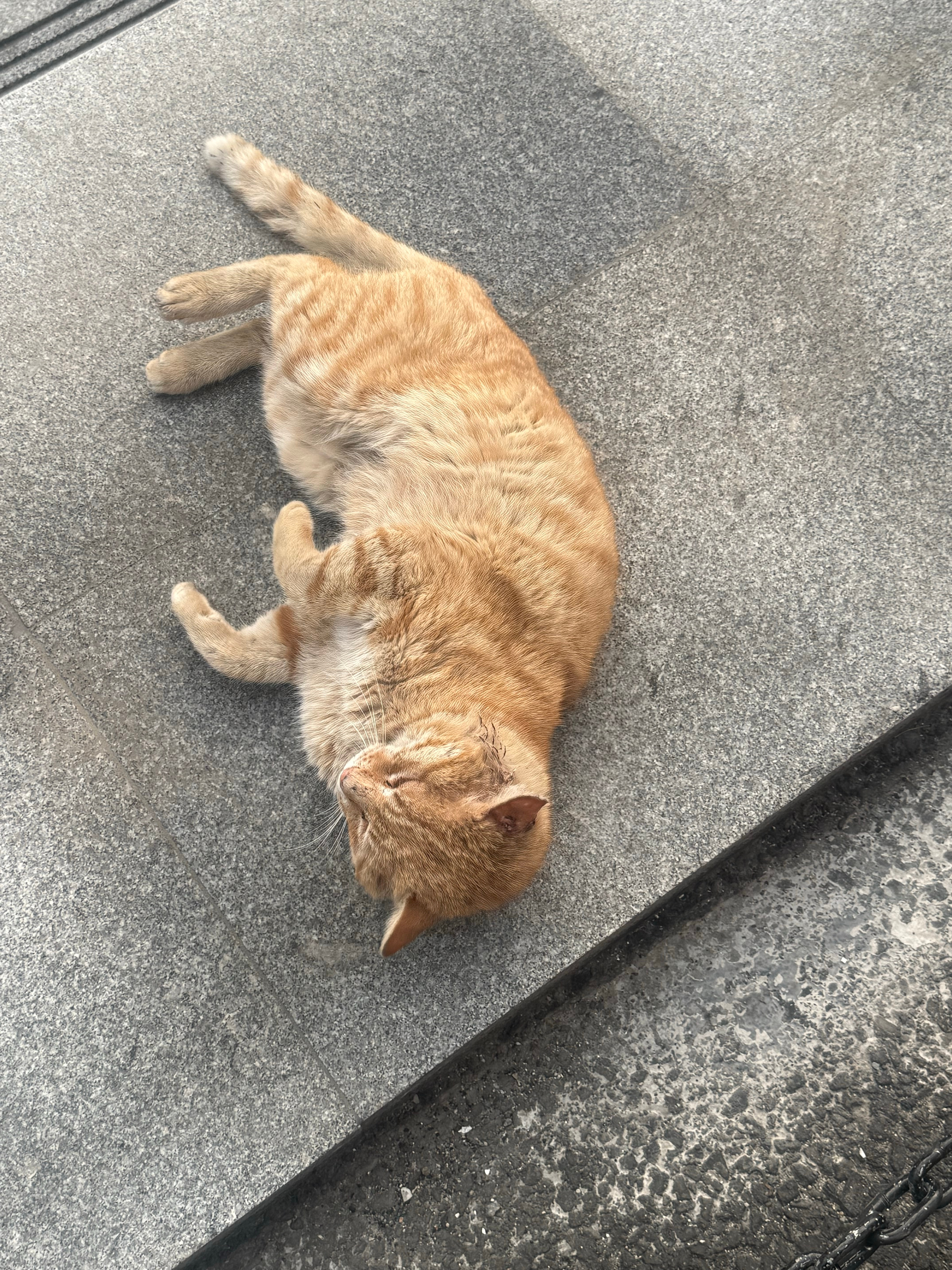 ✌️开开心心的生活🥳 