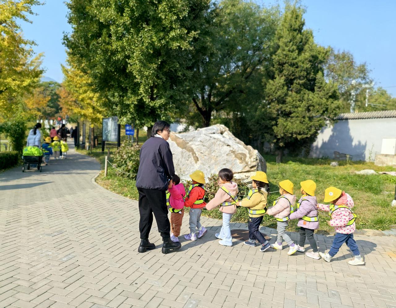 温室随拍花草跟着幼儿园小朋友去温室探寻奇花异草[呲牙]（国家植物园南苑温室）