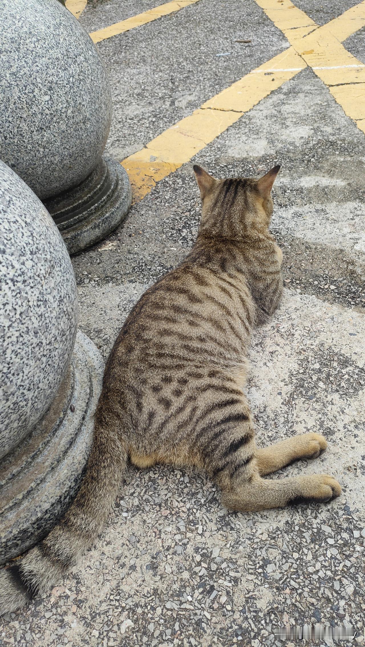 每天都来了，天天都签到