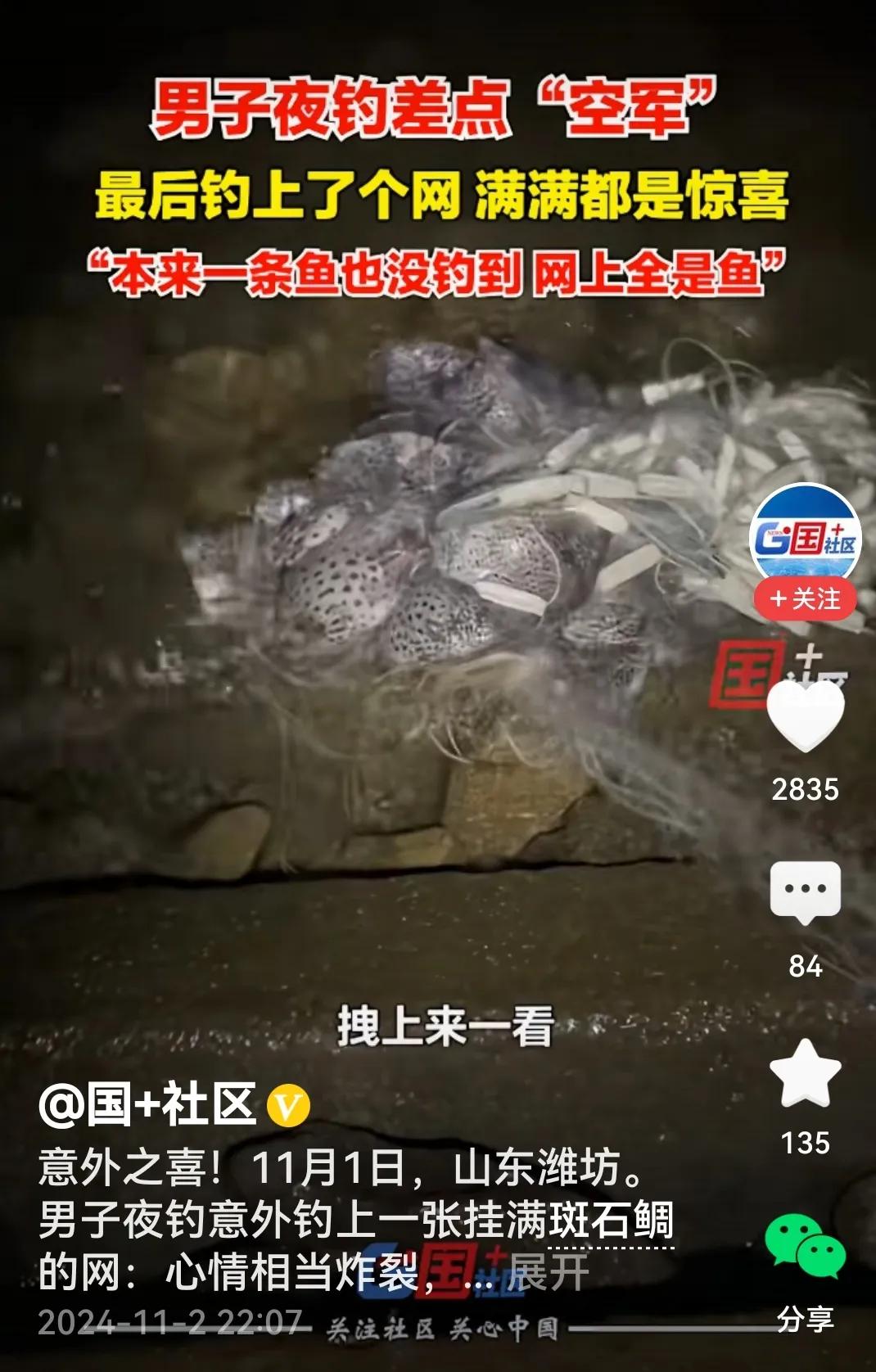 #男子夜钓钓上一张挂满斑石鲷的网#
失之东偶，收之桑榆。
话说一男子夜钓，无奈鱼