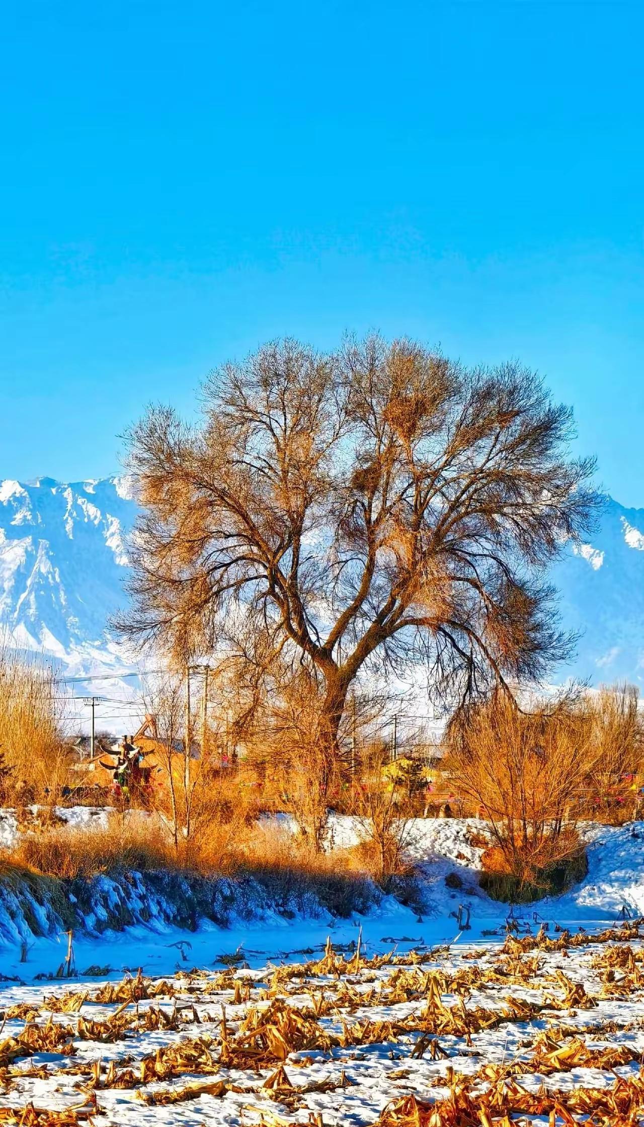 雪落得漫不经心，却能把山川沟壑都覆成平整的白。这白不是空白，是大地在删繁就简，删