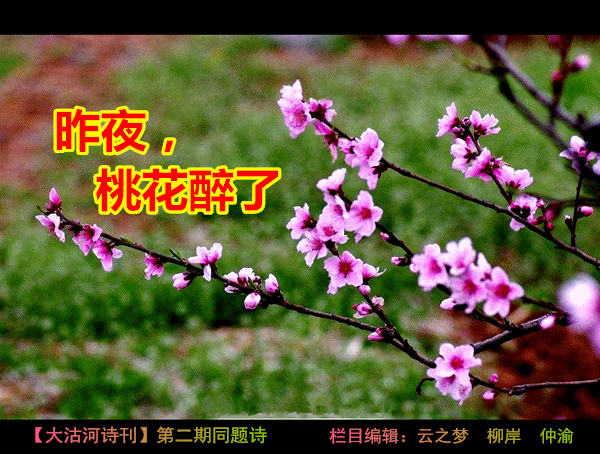 下联：今朝竹叶赋诗长。
解析：“今朝”与“昨夜”相对，时间对仗工整。“竹叶”对“
