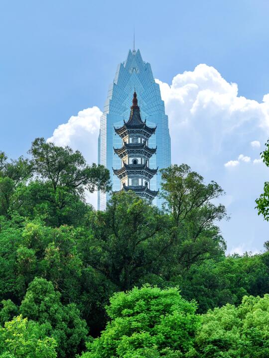 反向旅游成功‼️这才是温州的正确打开方式