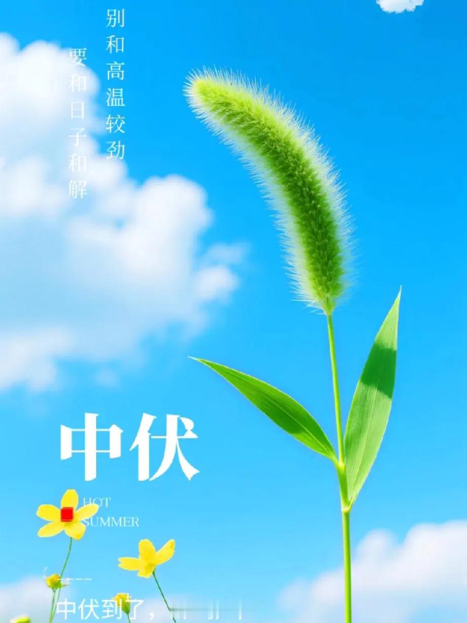 《中伏》原创
 
炎风匝地暑云浮，
中伏蒸笼万物稠。
静守清心消溽热，
静待凉信