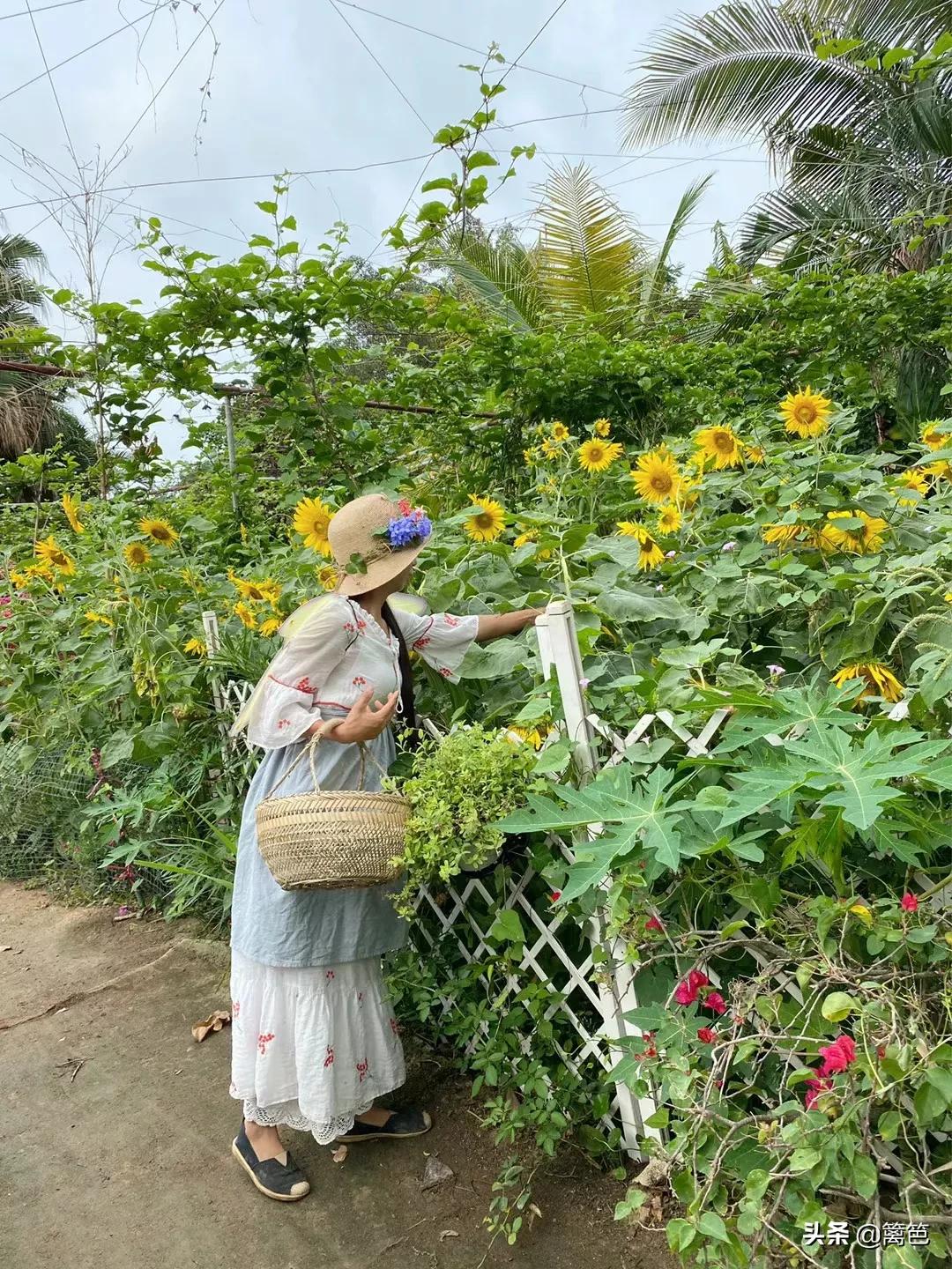 今天院子小朋友要过来
这是让我这老阿姨过来一把花仙子的生活啊[捂脸][捂脸][捂
