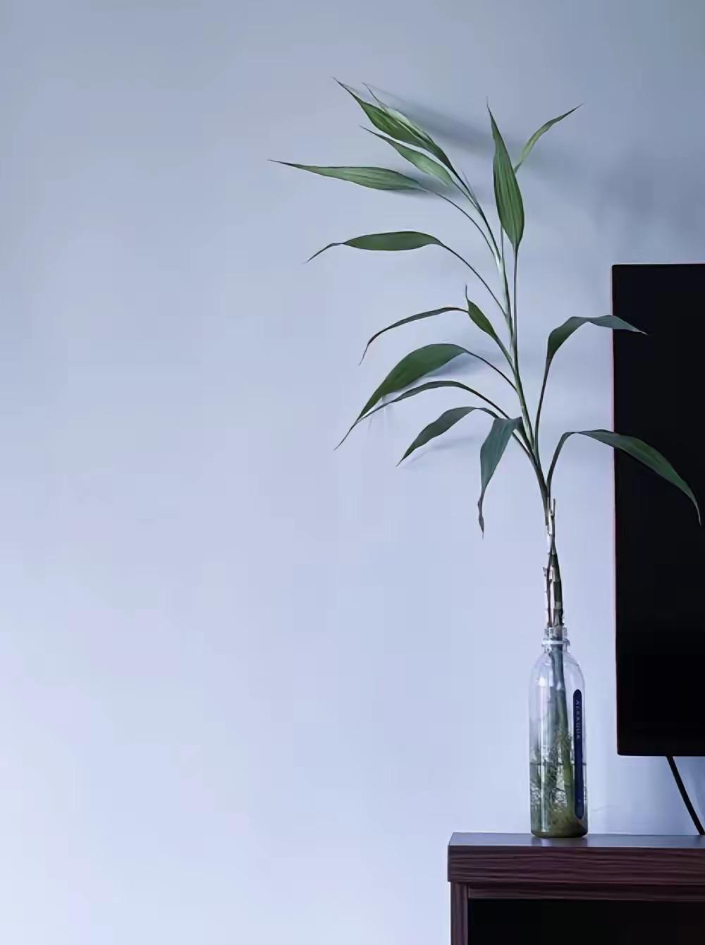 今天52岁的小姑子给老公打了个电话，挂完电话，老公吞吞吐吐地说要和我商量个事，我