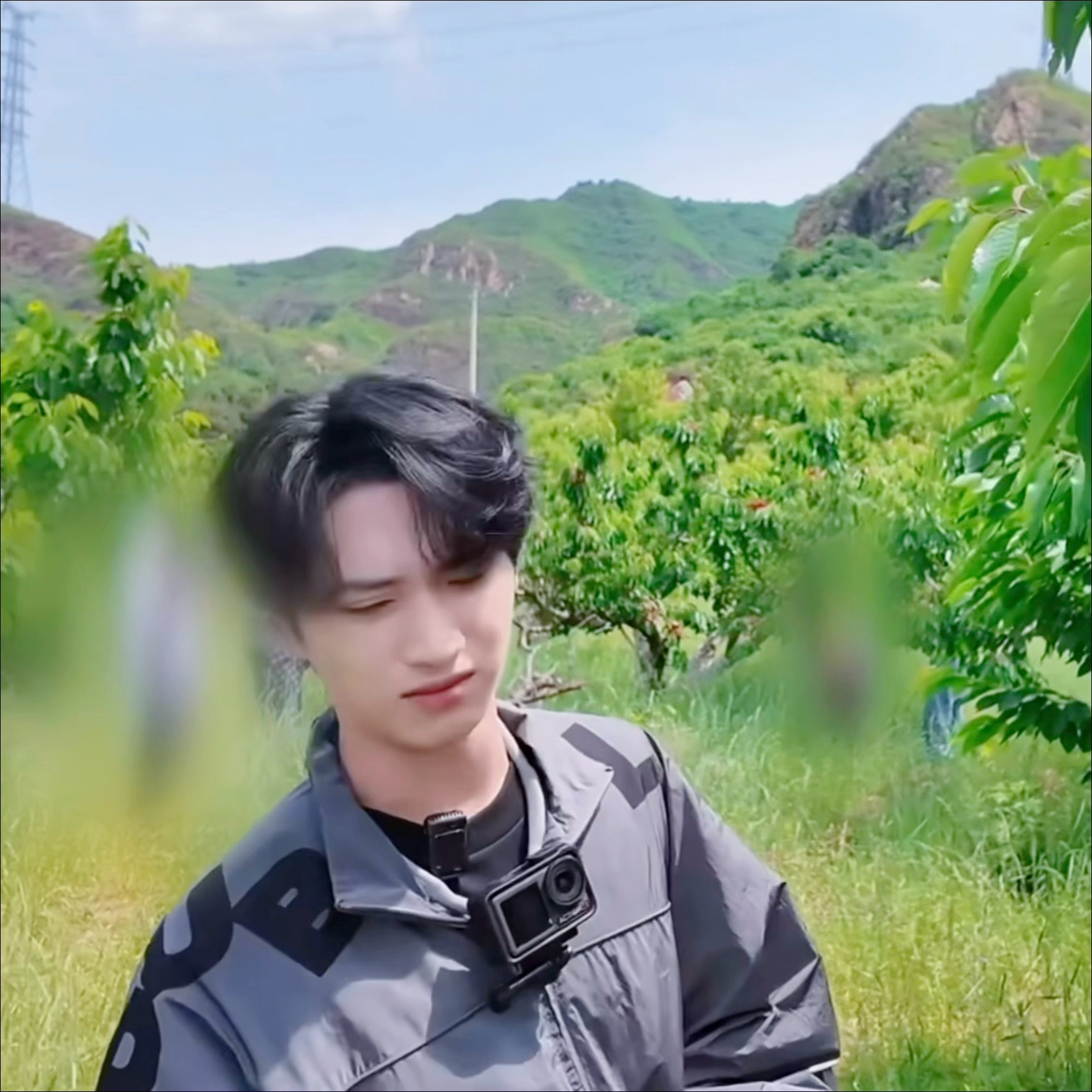 怕虫子星人生无可恋的摘樱桃 下一秒：emmm～～蜜蜂 走了😿 