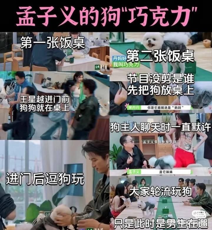 tg.孟子义、王星越 双方粉丝都澄清了《桃花坞桌面放狗》事件，你们怎么看？ ​​