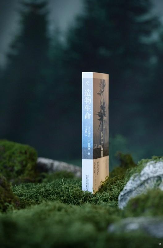 知書club 导读丨温弗里德·格奥尔格·马克西米利安·塞巴尔德（Winfried