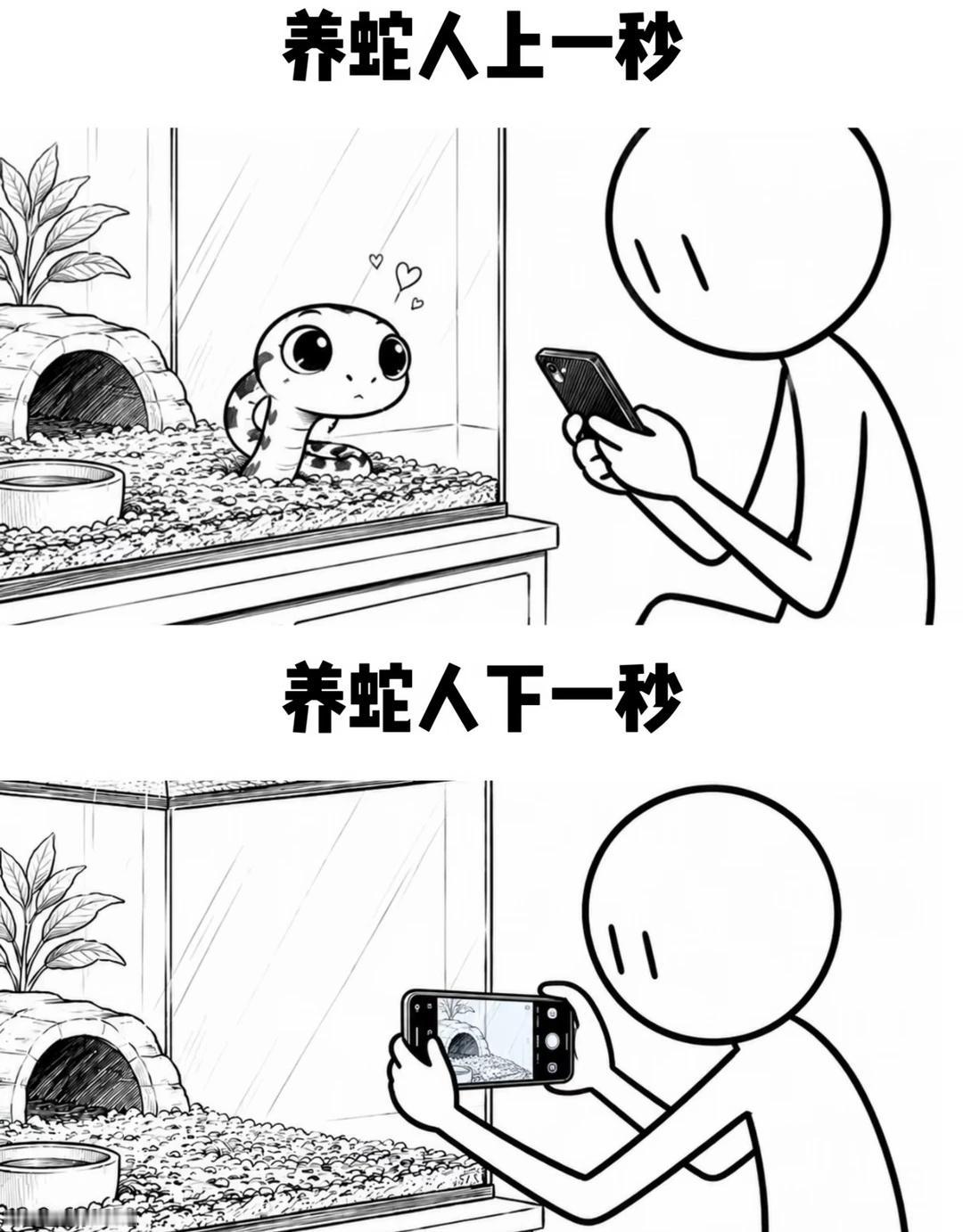 人 你喂的饭有点噎
蛇 蛇蛇教 黑王蛇 玉米蛇 宠物蛇 翠青 王蛇