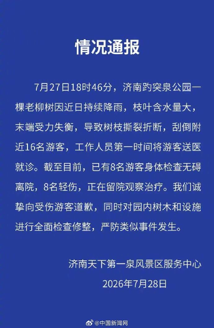 #趵突泉通报大树折断致16名游客受伤#【济南趵突泉老柳树树枝断裂刮倒16名游客，