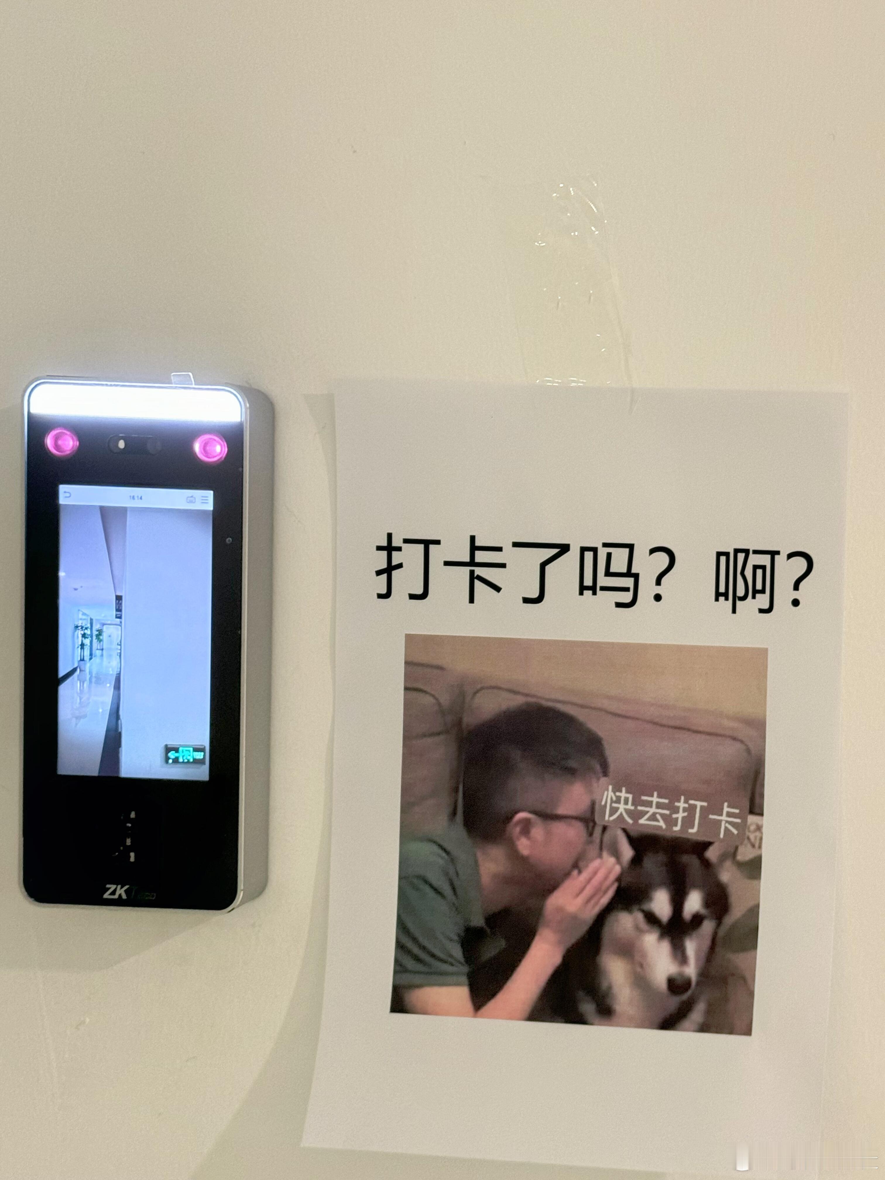 当你的同事是00后，办公室里将出现...一进公司，就收到了灵魂拷问！吾日三省吾身
