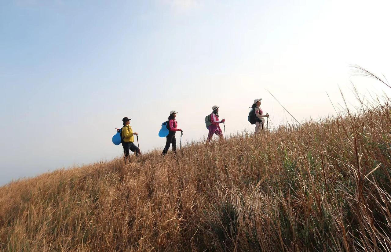 去有风的地方，青顶大草原等你一起迎风奔跑，释放自我！🏃‍♂️青顶大草原